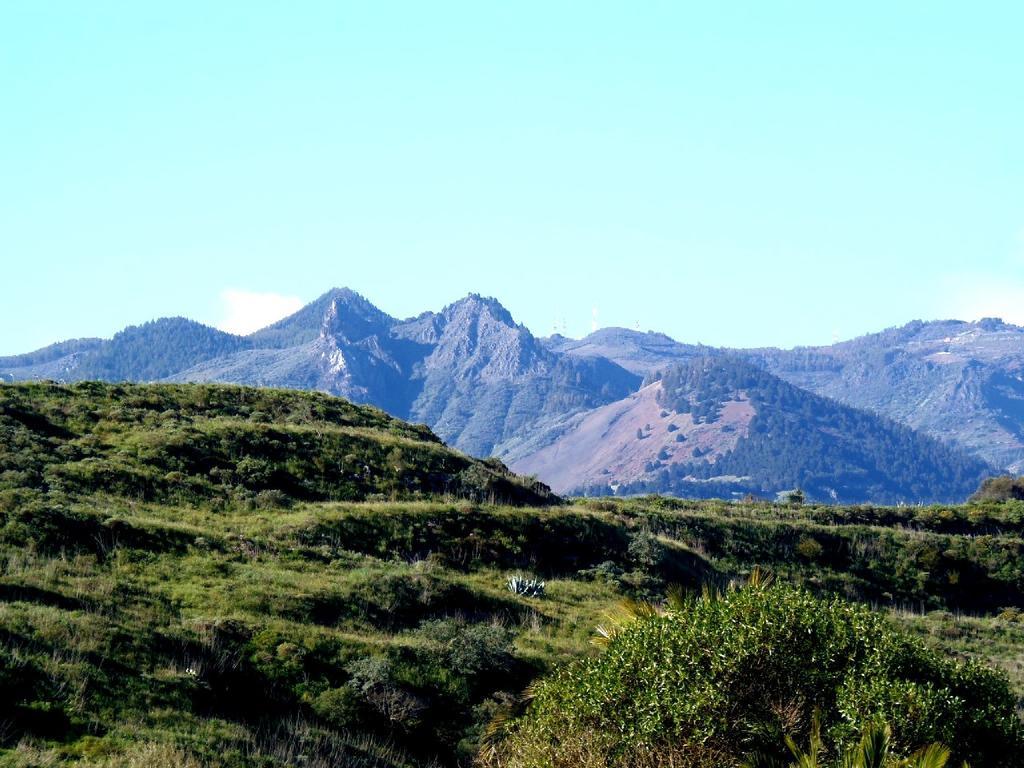 Cachispita Casa di campagna Teror