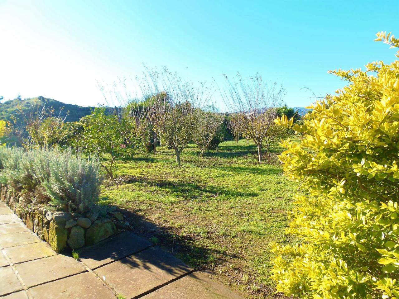 Country house Cachispita Teror