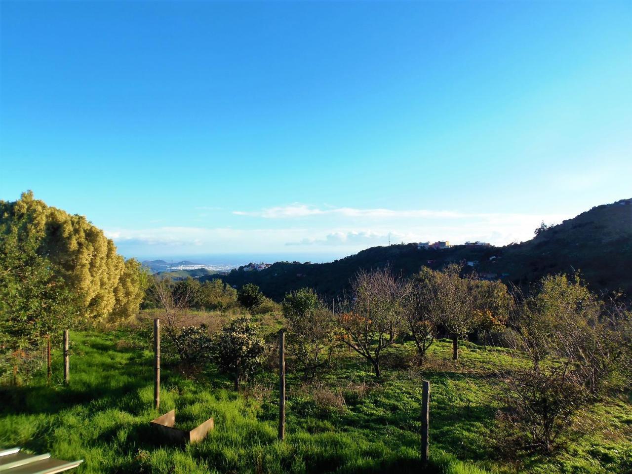 Cachispita Country house Teror