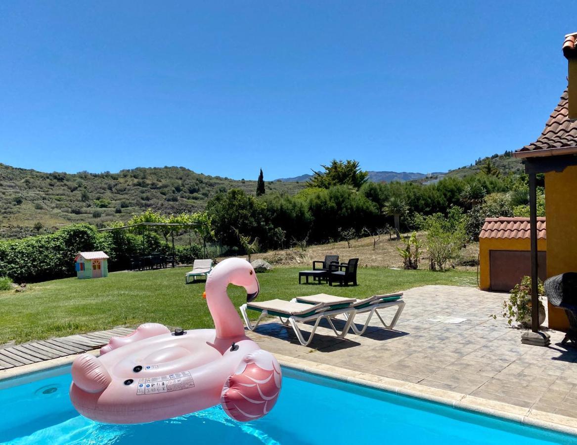 Cachispita